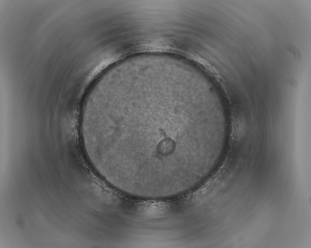 X0000111851314200908061306