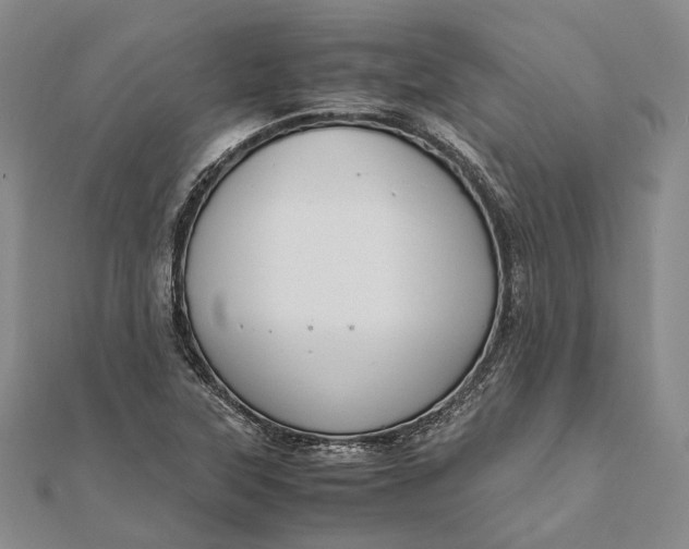 X0000111851315200908061306