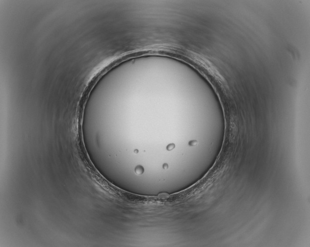 X0000111851316200908061306