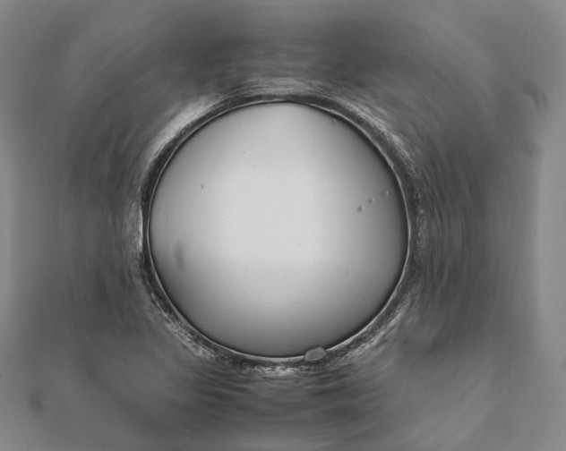 X0000111851317200908061306