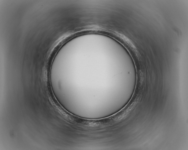 X0000111851318200908061306