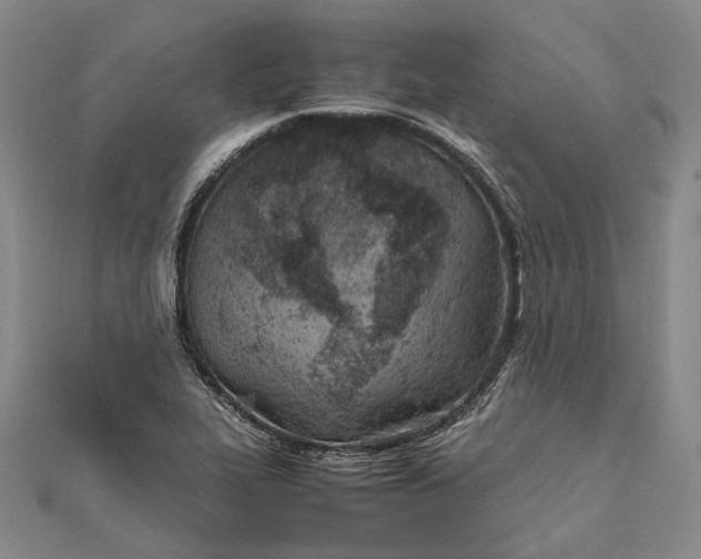 X0000111851319200908061306