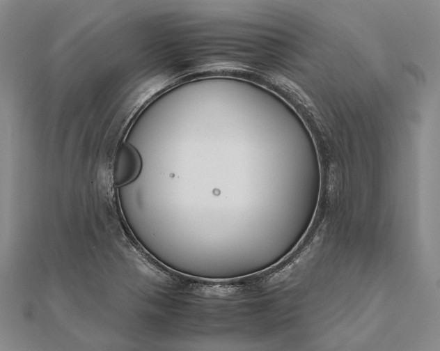 X0000111851321200908061306