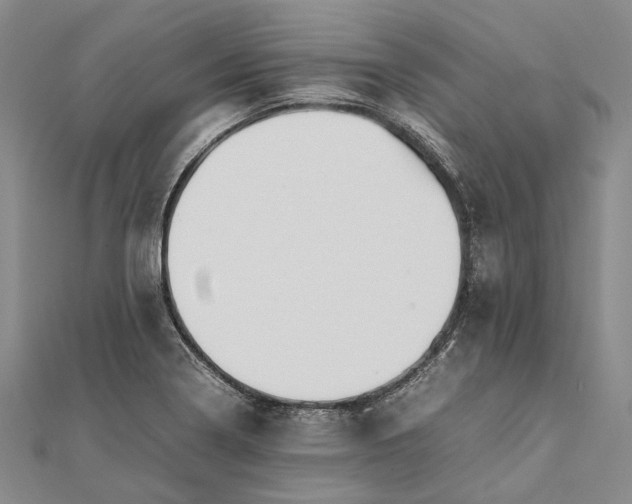 X0000111851322200908061306