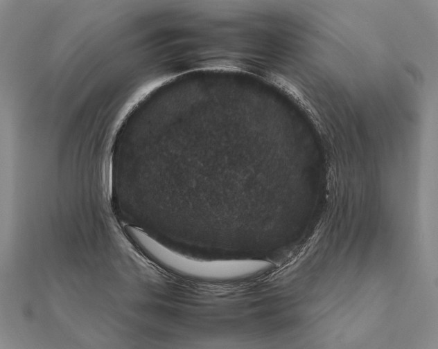 X0000111851323200908061306