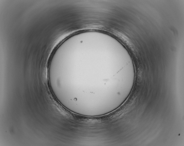 X0000111851324200908061306