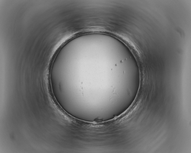 X0000111851325200908061306