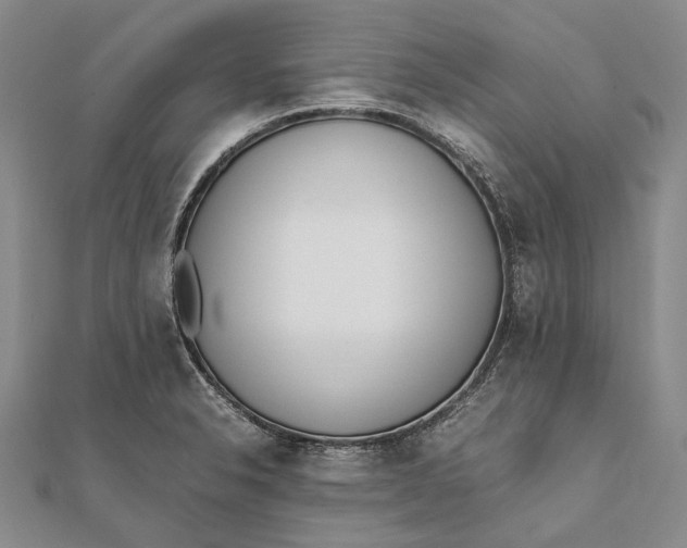 X0000111851326200908061306