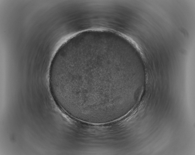 X0000111851327200908061306