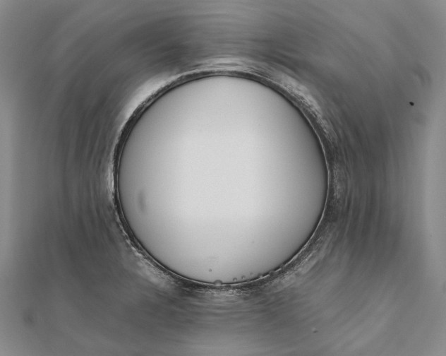 X0000111851328200908061306