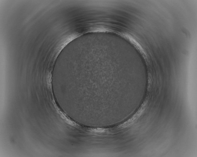 X0000111851329200908061306