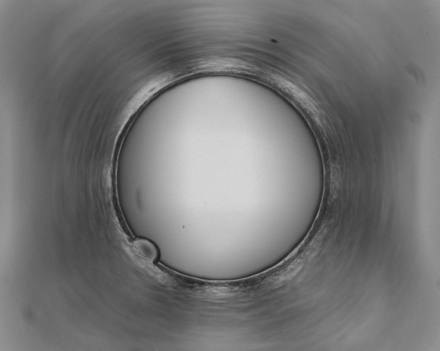 X0000111851330200908061306