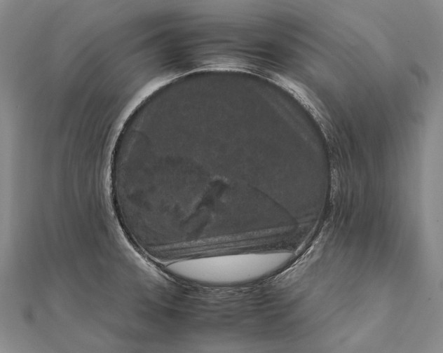 X0000111851331200908061306