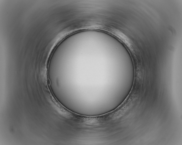 X0000111851332200908061306