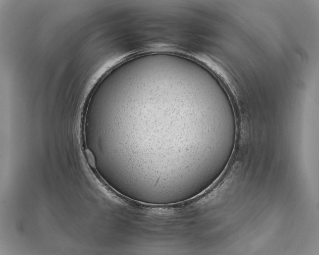 X0000111851333200908061306