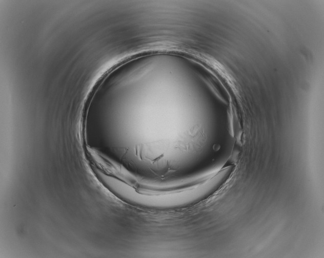 X0000111851334200908061306