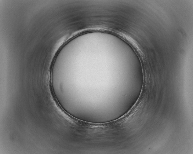 X0000111851335200908061306