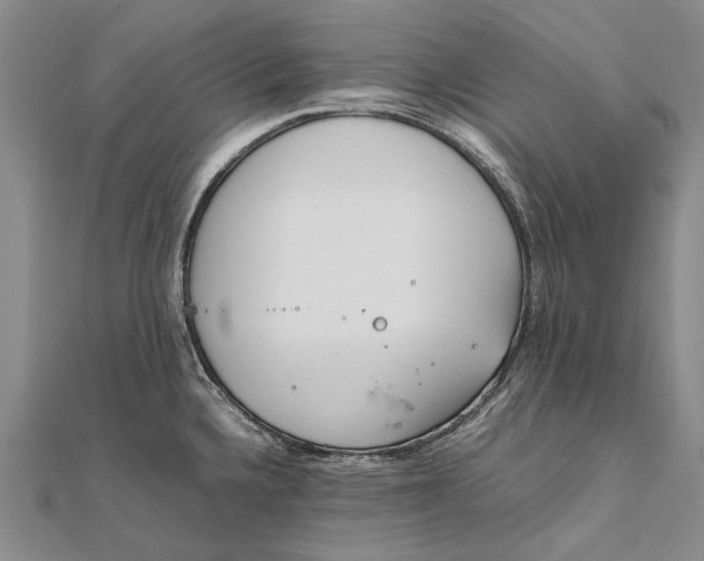 X0000111851336200908061306