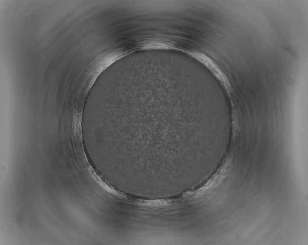 X0000111851337200908061306