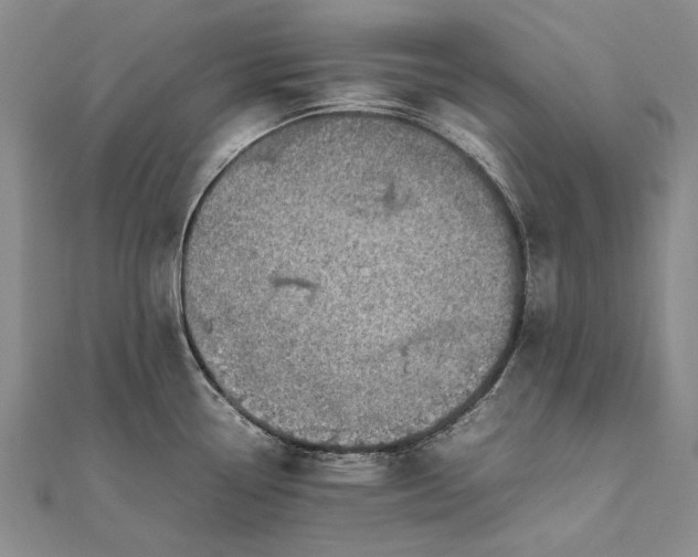 X0000111851338200908061306