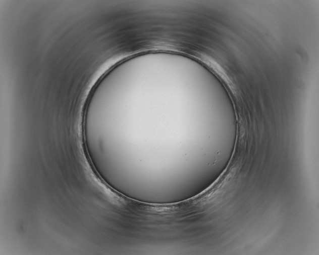 X0000111851339200908061306