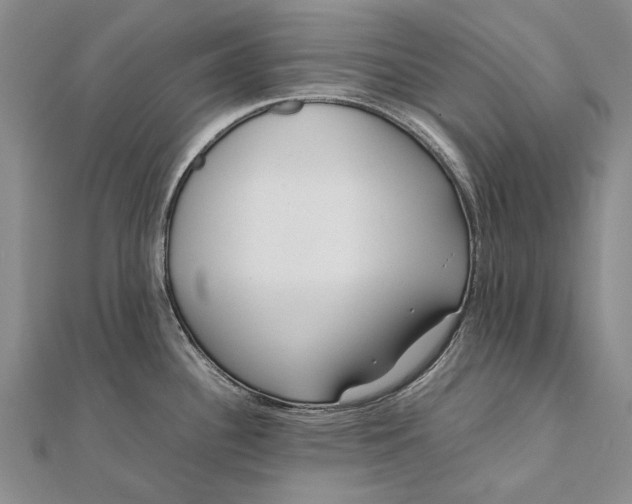 X0000111851340200908061306