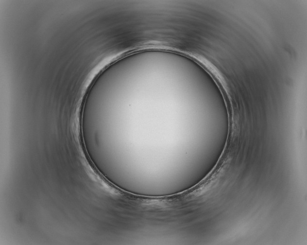 X0000111851341200908061306