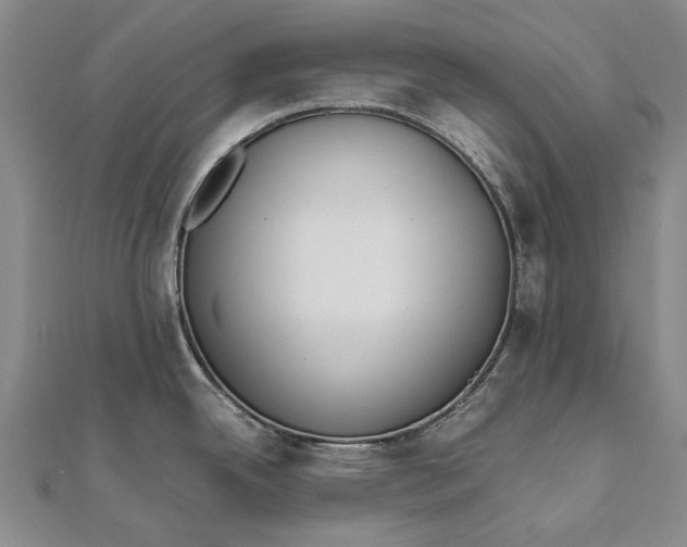 X0000111851342200908061306