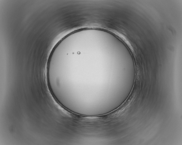 X0000111851343200908061306