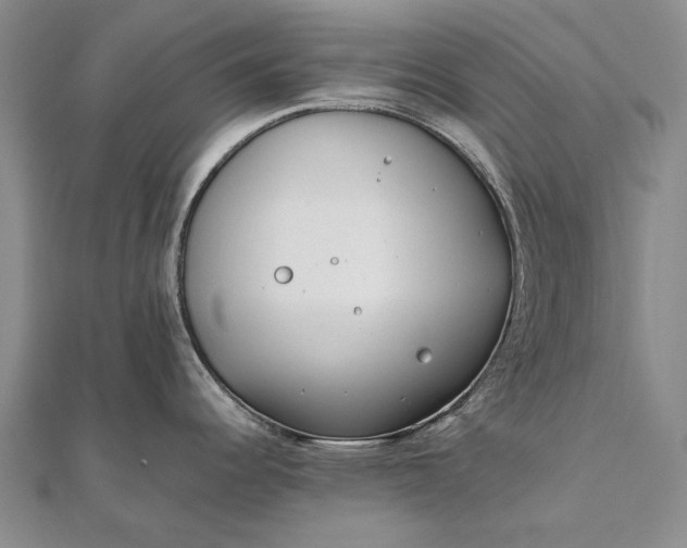 X0000111851344200908061306