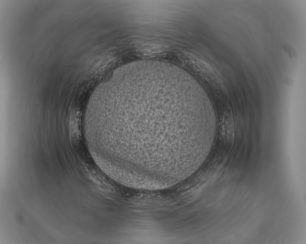 X0000111851346200908061305