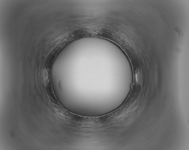 X0000111851347200908061305