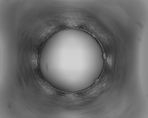 X0000111851348200908061305