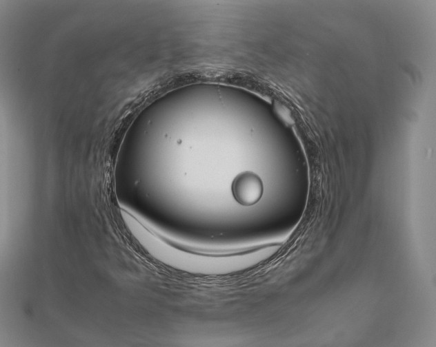 X0000111851349200908061305