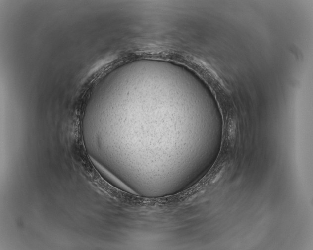 X0000111851350200908061305