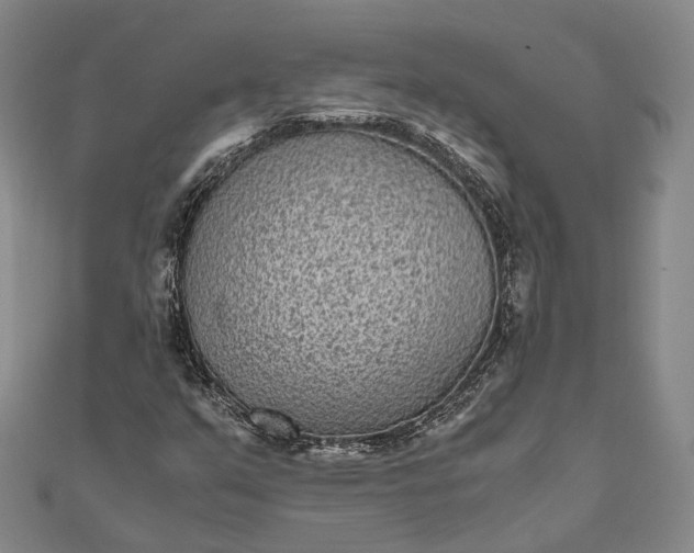 X0000111851351200908061305