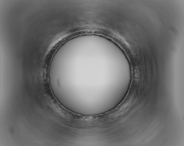 X0000111851352200908061305