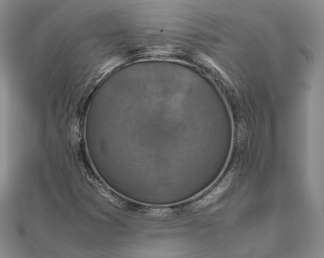 X0000111851353200908061305