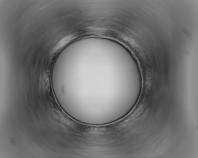 X0000111851354200908061305