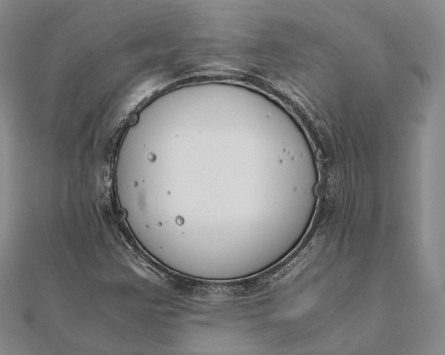 X0000111851355200908061305