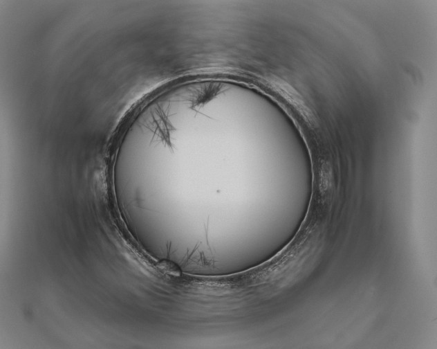 X0000111851356200908061305