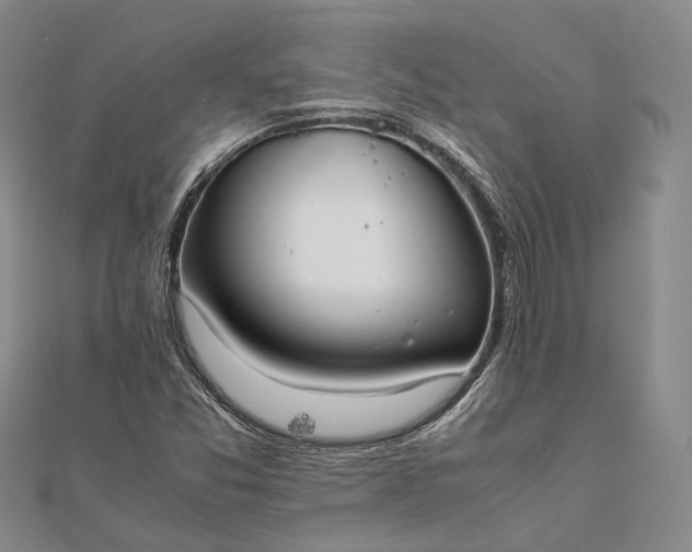 X0000111851357200908061305