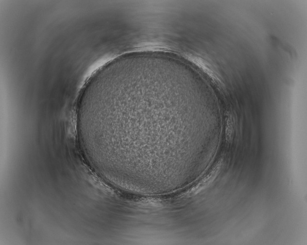 X0000111851358200908061305