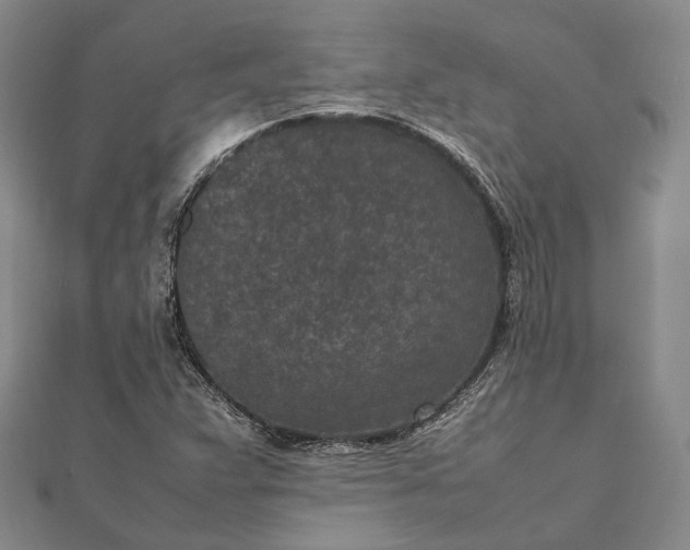 X0000111851359200908061305