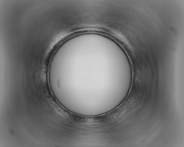 X0000111851360200908061305