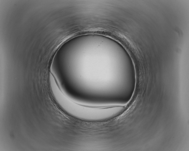 X0000111851361200908061305