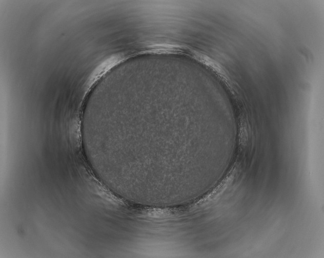 X0000111851362200908061305