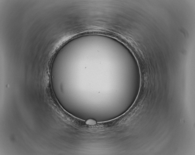 X0000111851363200908061305