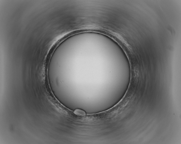 X0000111851364200908061305