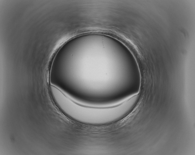 X0000111851365200908061305